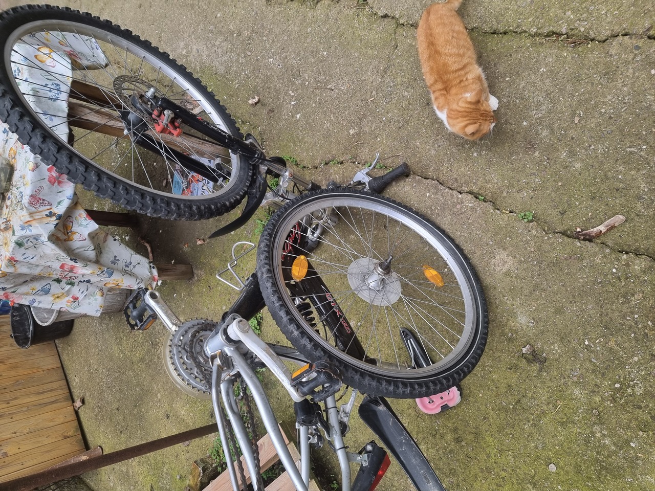 Firebird  Gtx1005 € 25  