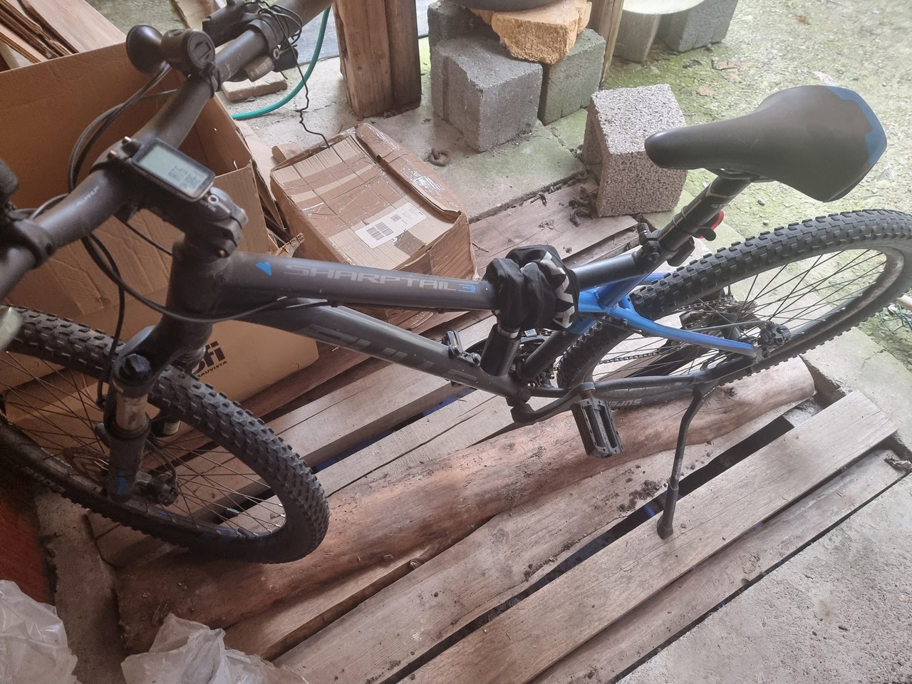 Bulls Sharptail € 101  